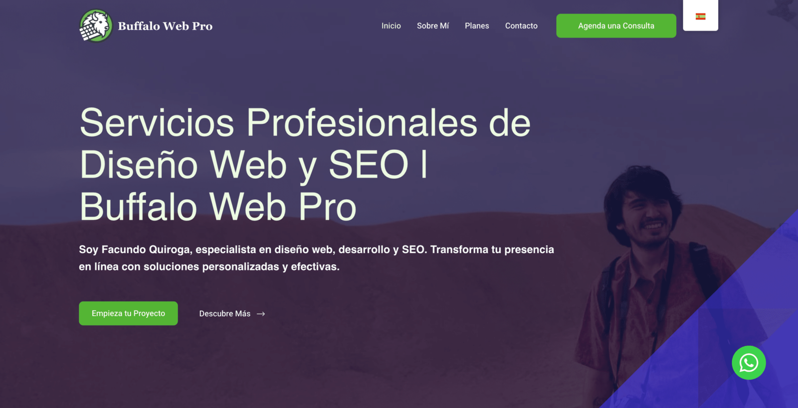 Buffalo Web Pro - Diseño y desarrollo profesional de sitios web